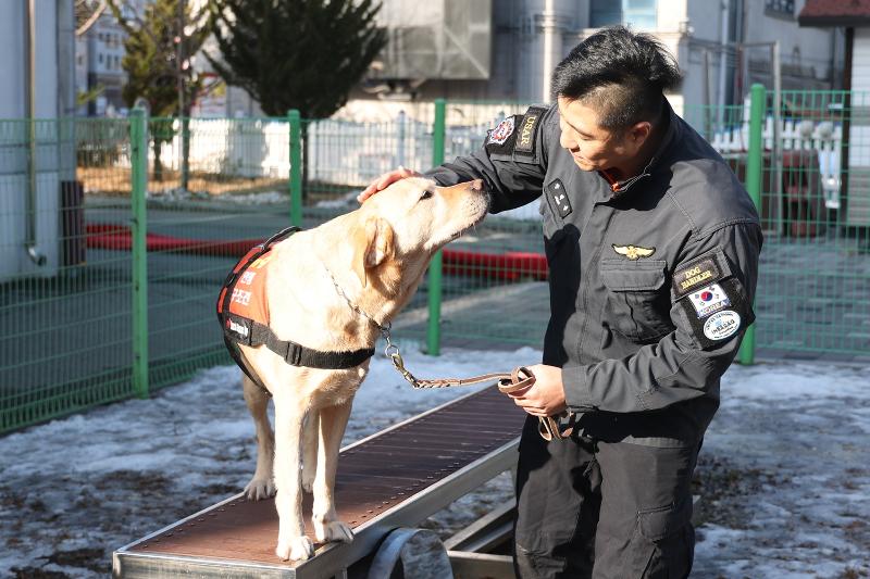 A handler at the Onam 119 Safety Center in Namyangju, Gyeonggi-do Province, on Jan. 19, 2024, pets retiring rescue dog Arongi, who joined the Gyeonggi-do Northern Special Response Team in 2017. The canine worked at 312 rescue scenes over seven years, rescuing four survivors and finding five corpses. (Yonhap News)