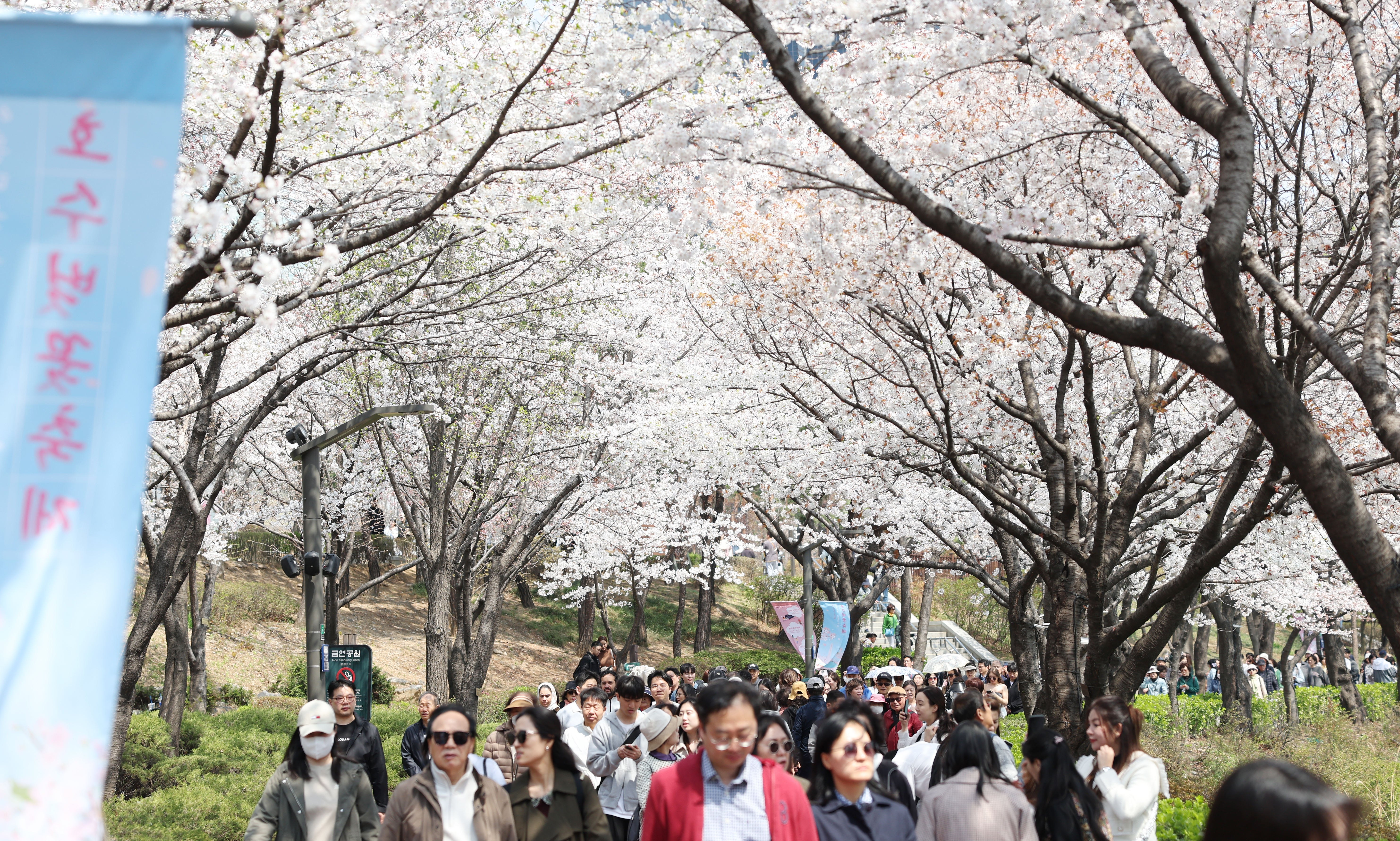 today_photo_250407