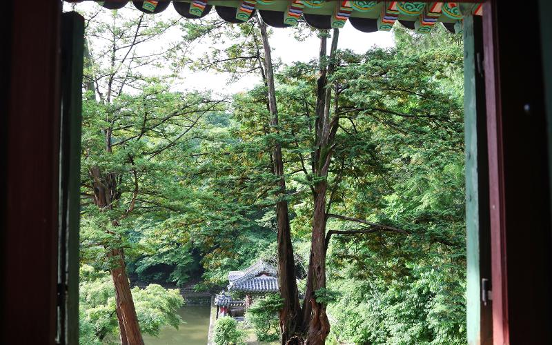 Hanok (traditional houses) have windows serving as frames to capture scenery. Visitors can borrow such views rather than try to own them, and can always see new landscapes through interaction between space and nature through living scenes, not framed pictures hanging on a wall. Beyond each window is a new garden at every moment. 