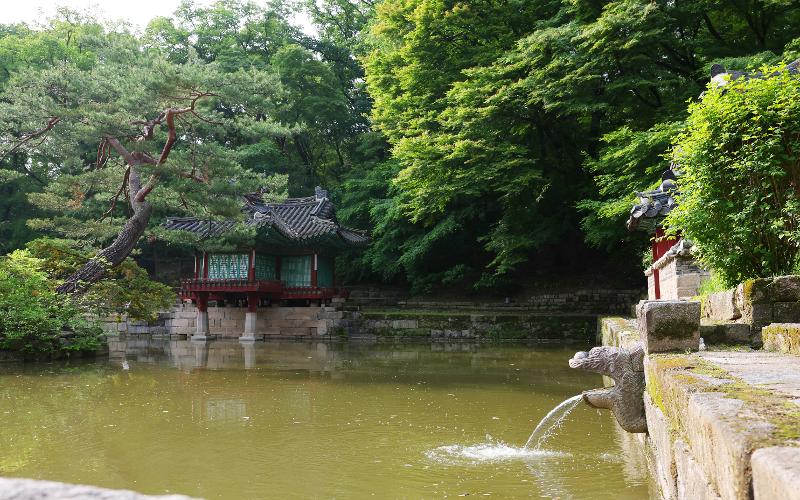 The morning after a rainy day, water from a stream flows into the pond through Seokrujo, a dragon head-shaped stone water passage. The water dropping from the passage emits a soft but resonant sound that fills the silent palace. 