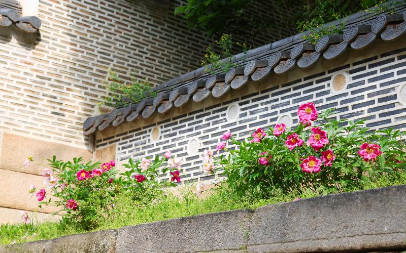 Meditative Stroll Through a Royal Garden: ‘Silent Serenity’ to Be Held at Changdeokgung