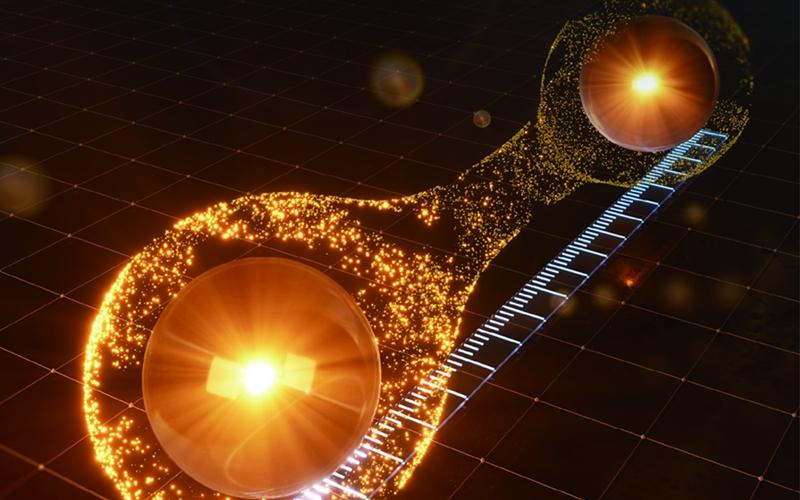 A domestic research team has achieved a world first by directly measuring the 