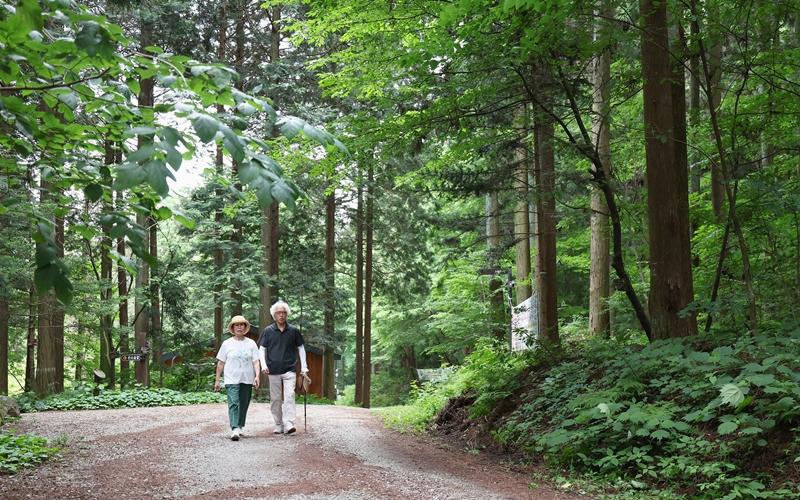 Gwangju native Park Dong-sik and his wife on June 19 walk through National Jangseong Healing Forest in Jangseong-gun County, Jeollanam-do Province. 