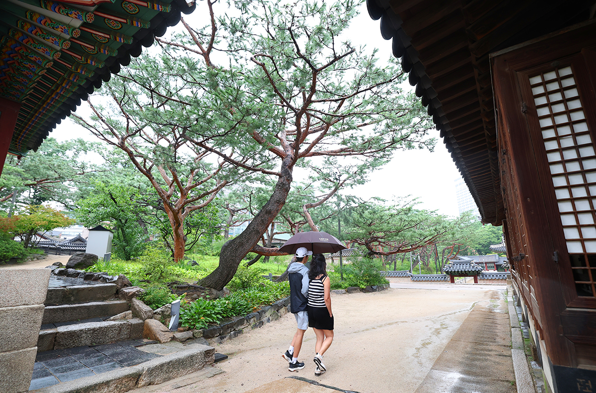 today_photo_250716_아직 끝나지 않은 ‘장마’