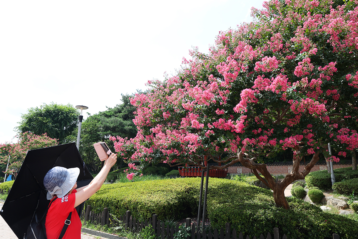 today_photo_250804