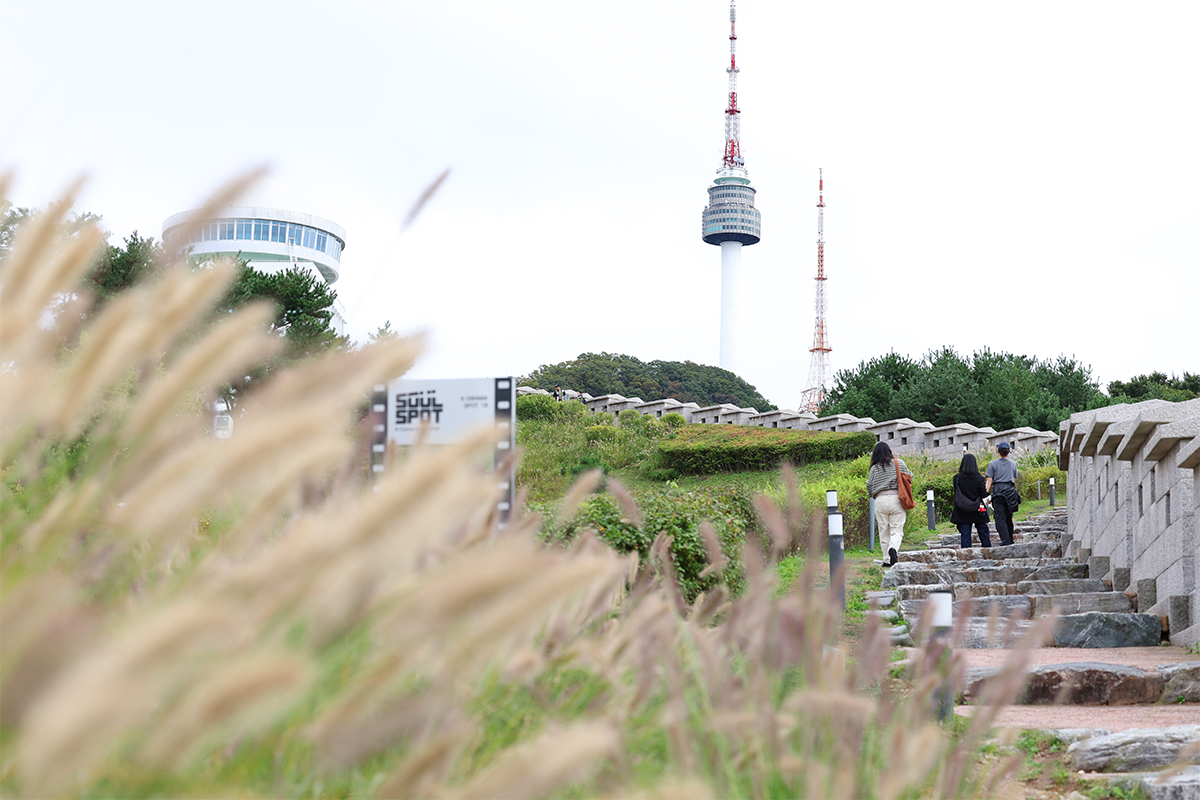 Visitors to Namsan Park on Oct. 14 in Seoul's Jung-gu District look at N Seoul Tower in soaking up the autumn atmosphere.'