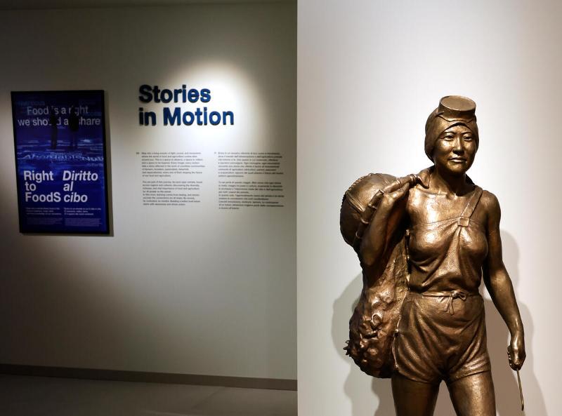 Four traditional systems of agriculture and fisheries last month received recognition as Globally Important Agricultural Heritage Systems of the Food and Agriculture Organization (FAO) of the United Nations. Shown is a statue of a haenyeo (female diver) of Jeju Island unveiled on Oct. 16 at the opening of the Food and Agriculture Museum and Network in Rome. (FAO)   