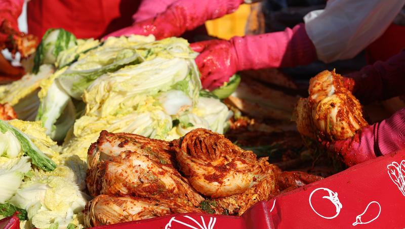 ▲ 김치의 핵심 재료인 배추의 국제 공식 명칭에 'kimchi cabbage'가 새롭게 등재되고, 김 제품의 세계 규격화 추진이 국제적으로 승인되면서 한국 식품의 글로벌 표준화가 한층 탄력받게 됐다. 코리아넷 DB