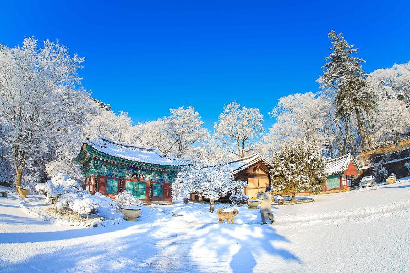 The landscape of the snow-covered Magoksa Temple in Gongju, Chungcheongnam-do Province, offers a silent meditation.