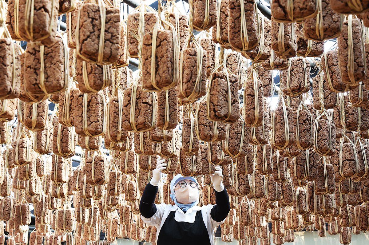 A worker on Jan. 13 inspects maeju (fermented soybean bricks) being dried in clusters at a farm in Anseong, Gyeonggi-do Province.