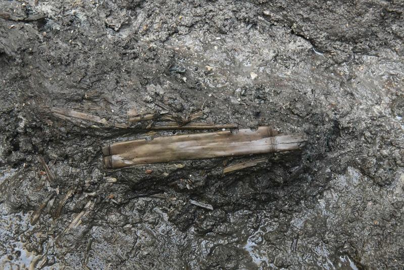 The National Research Institute of Cultural Heritage on Feb. 5 released this photo of the remains of a bamboo flute from the ancient Baekje Kingdom (18 B.C.&ndash;A.D. 660) at its news conference on its excavation at the site of the village of Gwanbuk-ri in Buyeo-gun County, Chungcheongnam-do Province. 