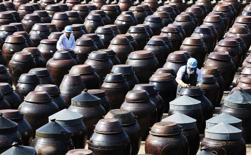 Employees at Seoil Farm in Anseong, Gyeonggi-do Province, on March 17, which marks Chunbun (spring equinox), one of the 24 terms of the traditional lunisolar calendar, wipe off dust on the jars accumulated over the winter.
