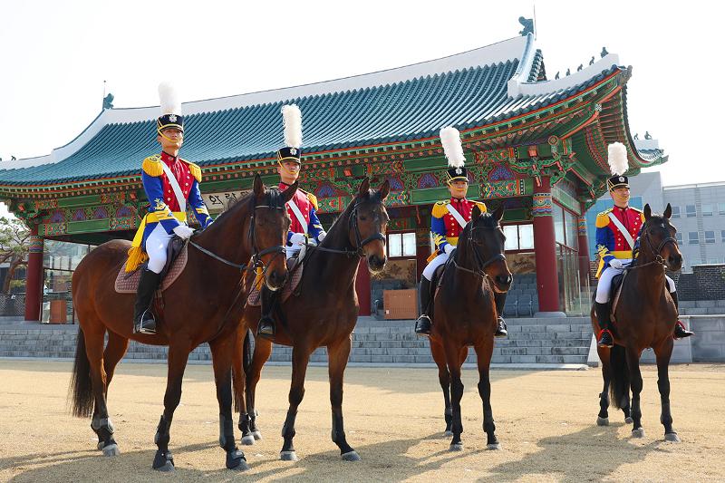 육군사관학교 군마대