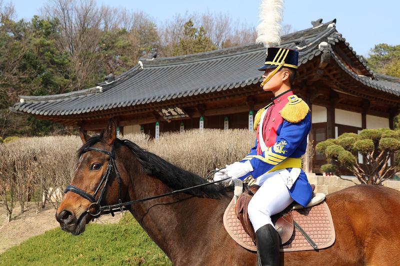 육군사관학교 군마대