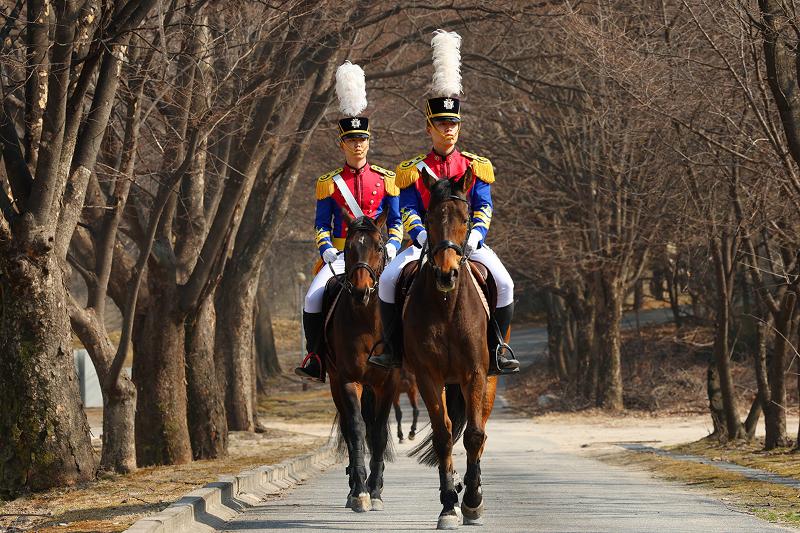육군사관학교 군마대