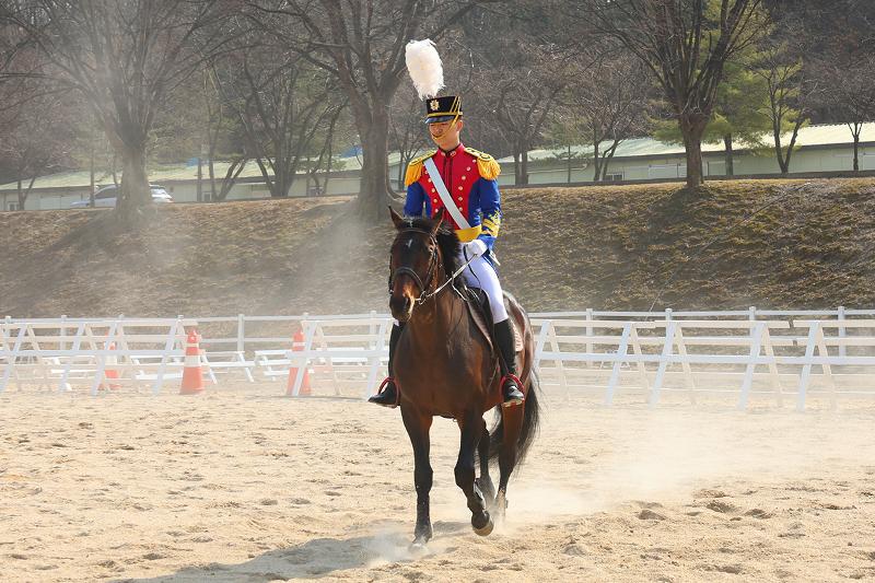 육군사관학교 군마대