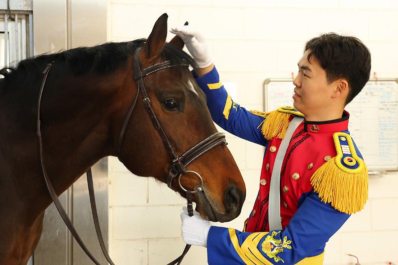 육군사관학교 군마대