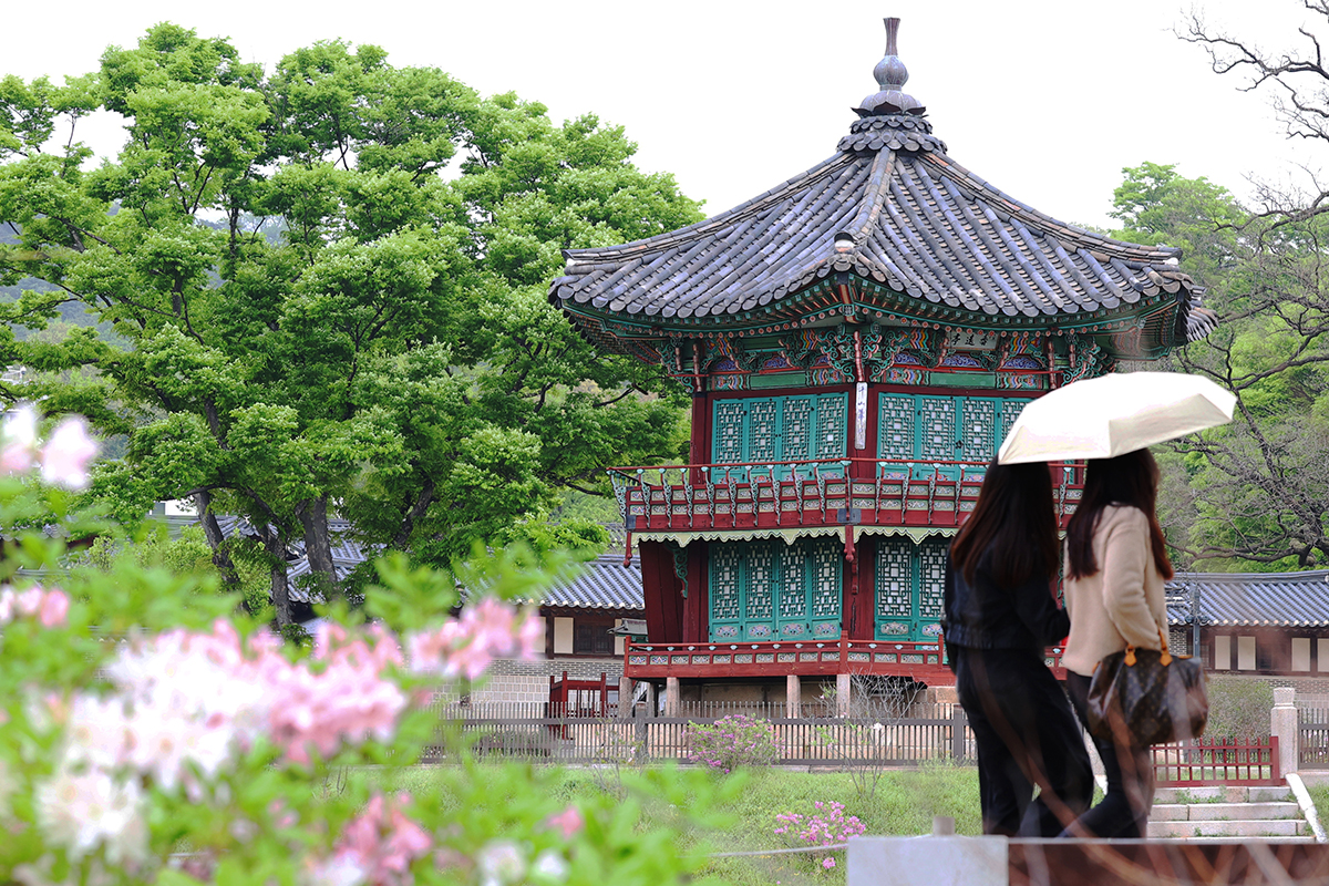 today_photo_260420)_