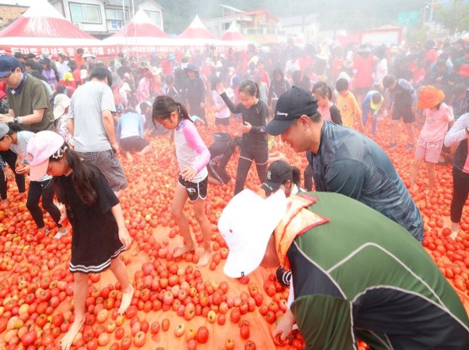 Provincial festival uses summer fun to save tomatoes from waste