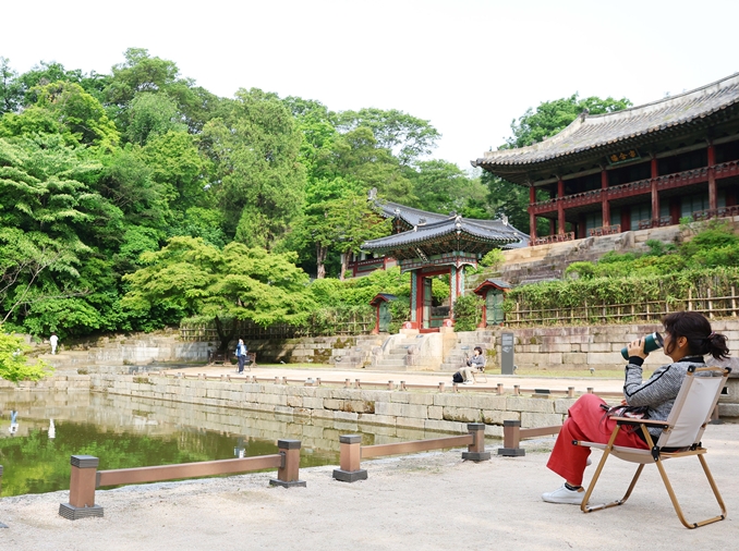 Feel meditative calm via tour of royal garden at Seoul palace