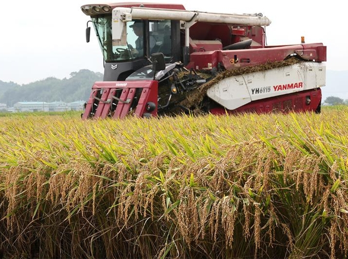 New AI-based software can predict optimal harvest times for seeds