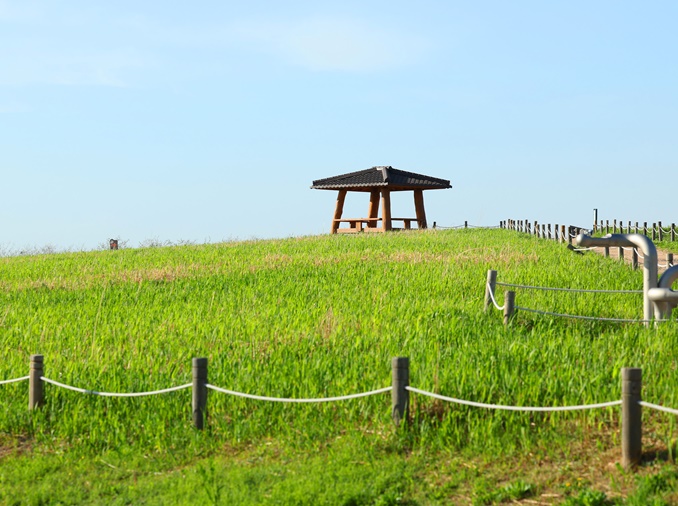 From trash to tranquility: landfill-turned-eco park Nanjido
