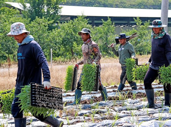 Heat inspections of farms, lodging begin for int'l worker safety