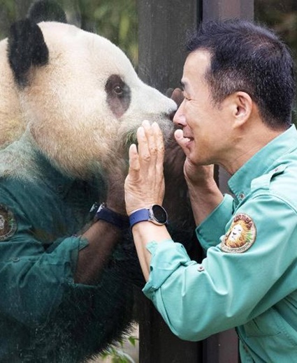 China warmly welcomes first Korea-born giant panda Fu Bao