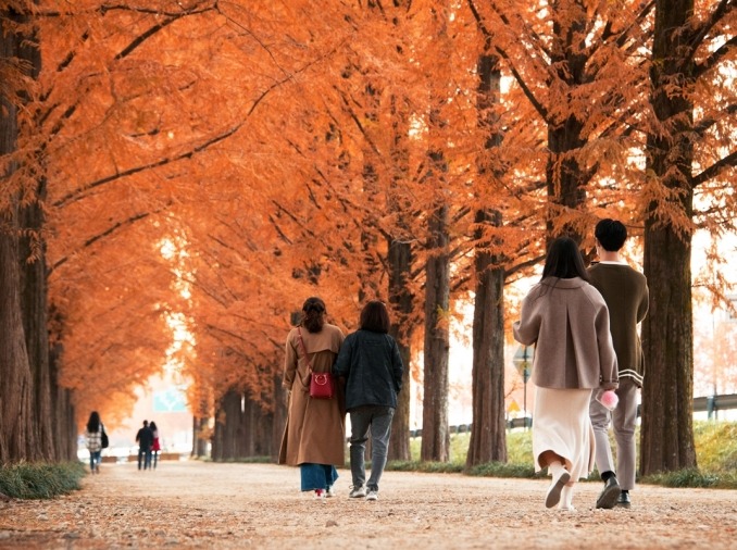 [100 top sites] ② Three recommended spots for autumn 'run trips'