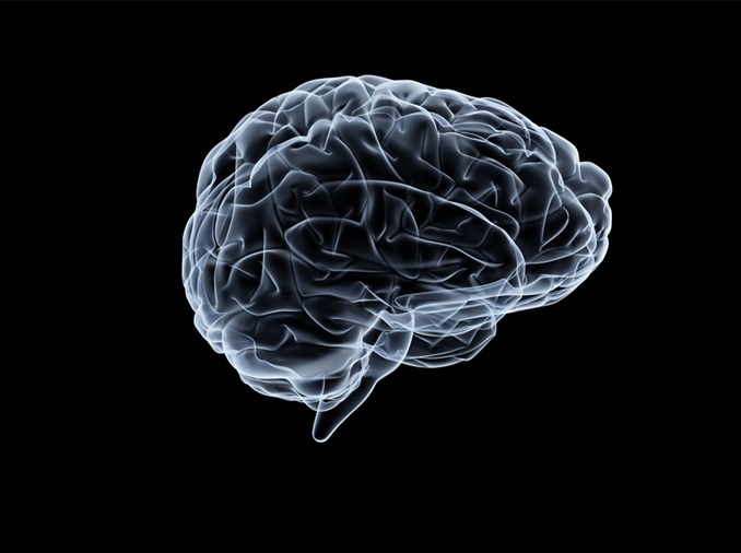 Method found to boost removal of waste products from brain
