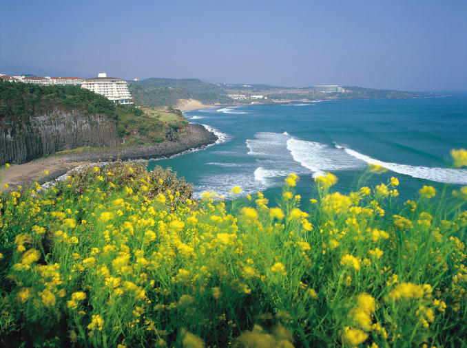 World Environment Day: sustainable change starts in Jeju
