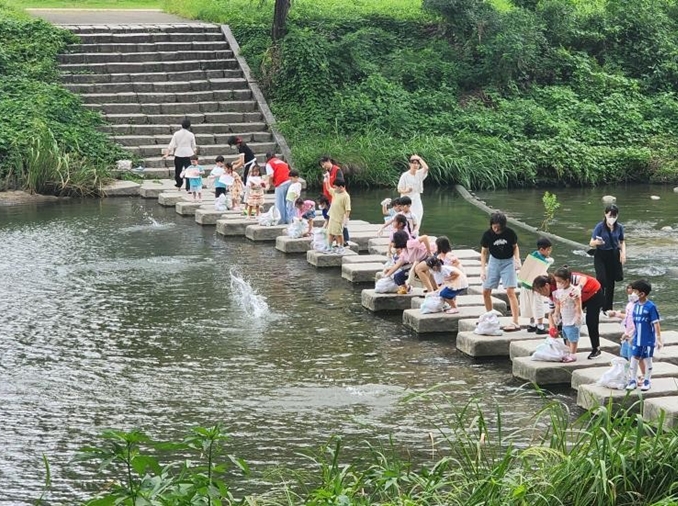 Freshwater fish in Seoul stream attests to water quality