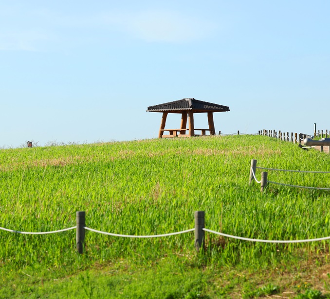 From trash to tranquility: landfill-turned-eco park Nanjido