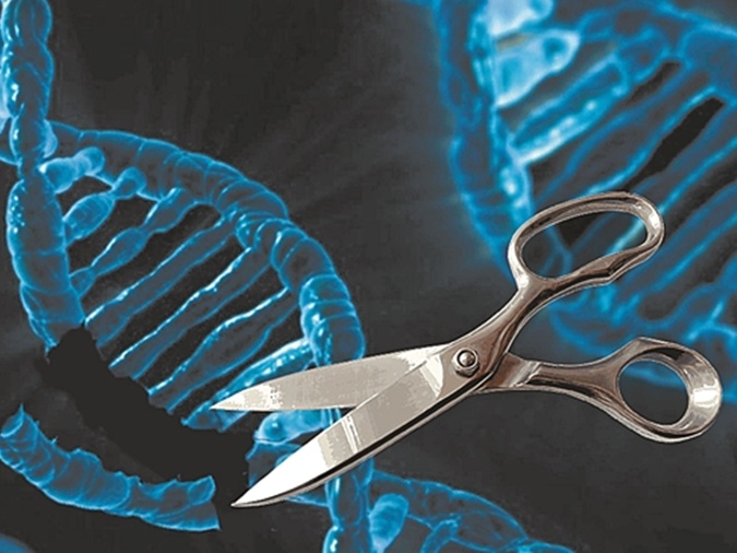 Genetic scissors tech developed to target cancer cells' DNA