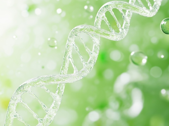 Researchers find clues that could deepen understanding of autism