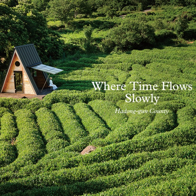 [Local Escape] Where Time Flows Slowly: Hadong-gun County main img