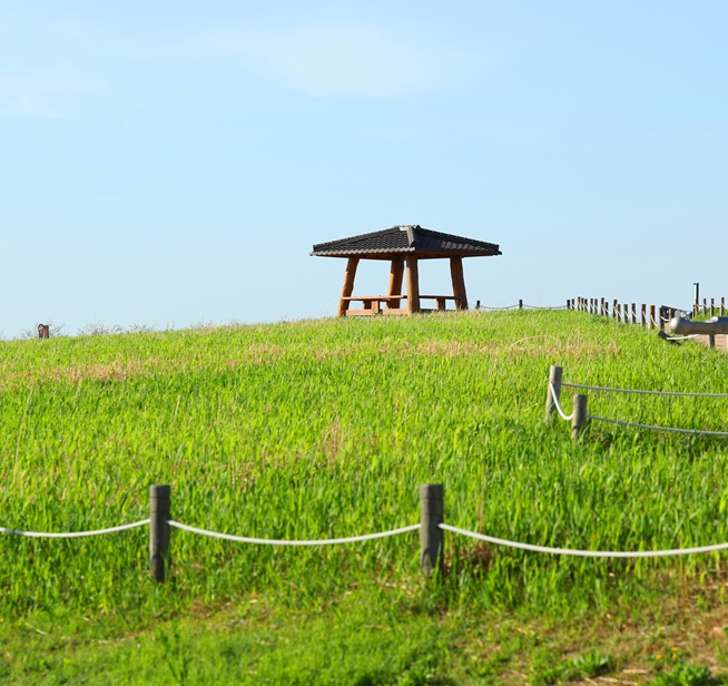 From trash to tranquility: landfill-turned-eco park Nanjido