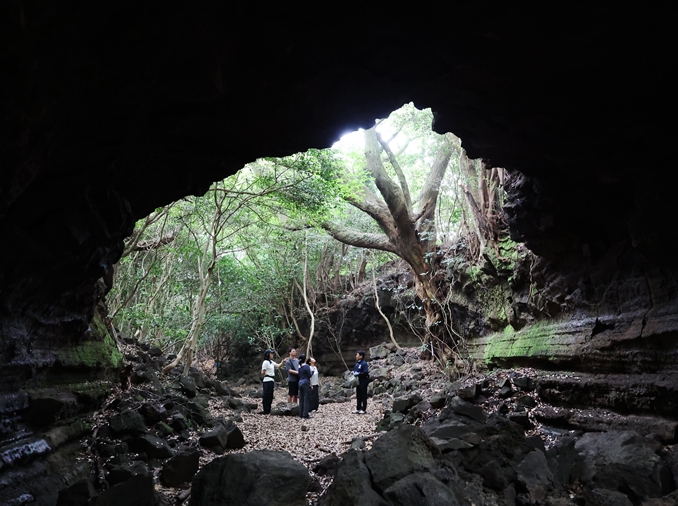 [World Heritage Festival ①] Jeju's volcano-sculpted cave wonders