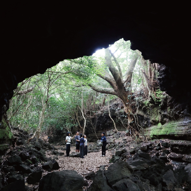 World Heritage Festival 1. Jeju's volcano-sculpted cave wonders