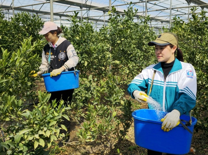 Seasonal Worker Program to add 22K int'l staff in year's 2nd half