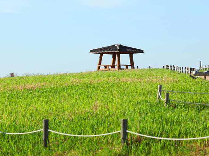 From trash to tranquility: landfill-turned-eco park Nanjido