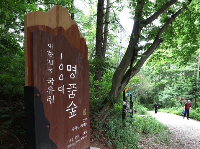 'Deep rest, strong scent': forest boosts health, region's economy