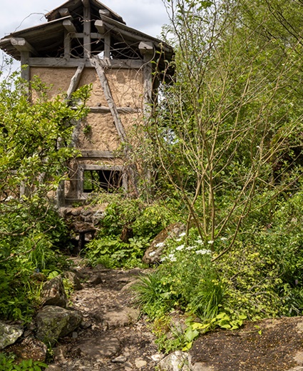 Mountain-inspired garden wins gold at UK Chelsea Flower Show